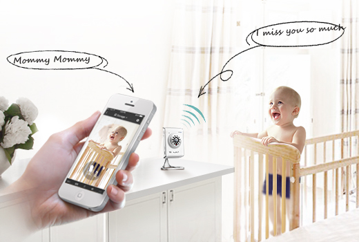 indoor ip cameras