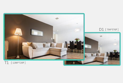 ip wireless camera