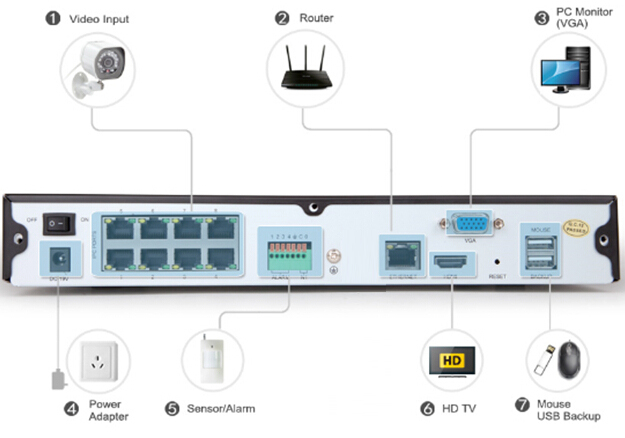 Rear Panel of 8 channel nvr